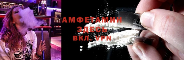 прущие грибы Кулебаки