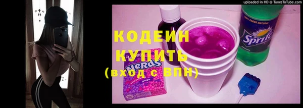 прущие грибы Кулебаки